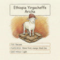 Ethiopia - Yirgacheffe Aricha - Washed - 150g